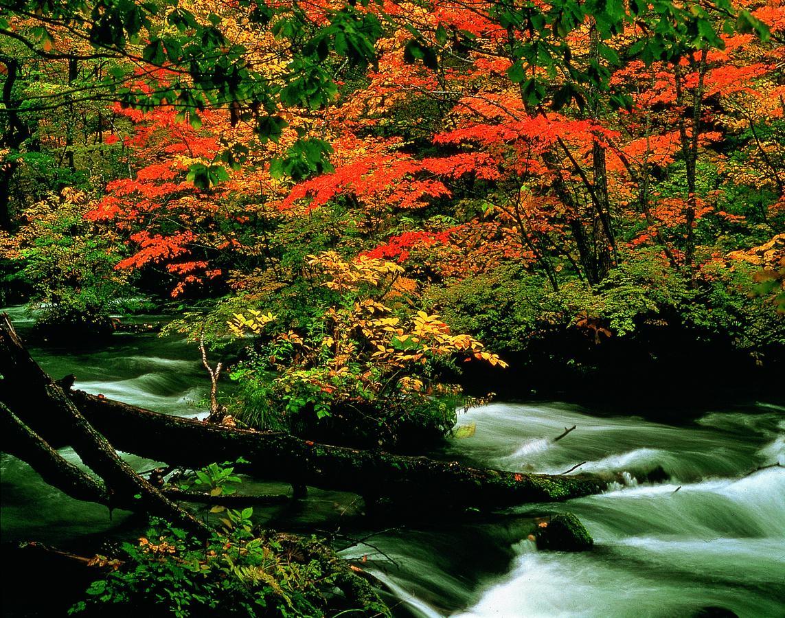 Pittinn Goshogawara ภายนอก รูปภาพ