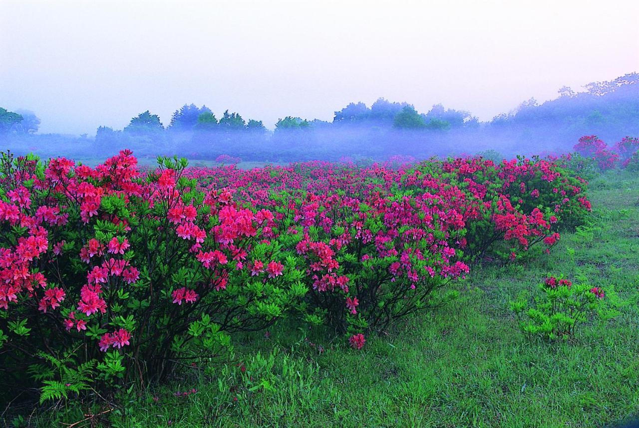 Pittinn Goshogawara ภายนอก รูปภาพ
