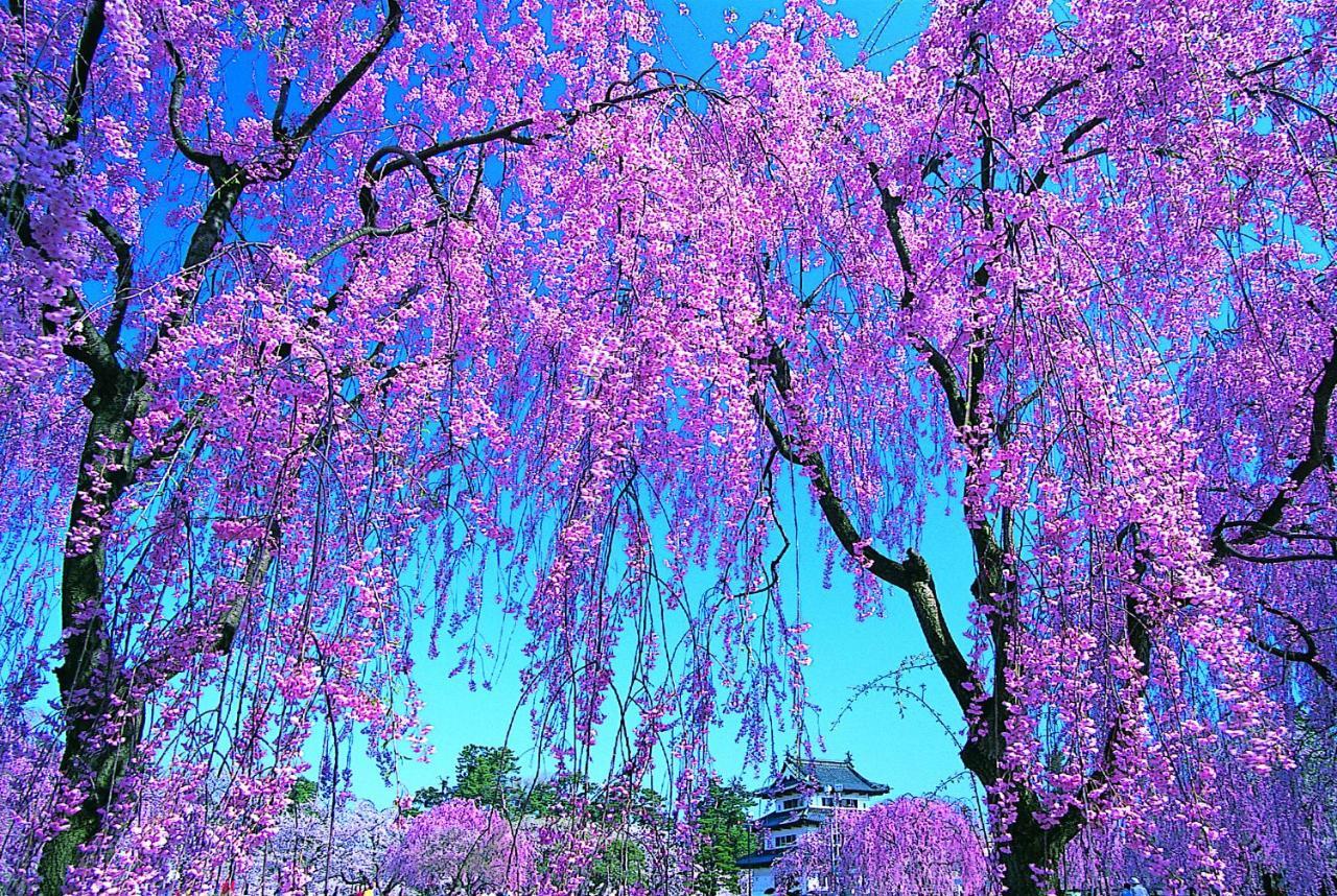 Pittinn Goshogawara ภายนอก รูปภาพ