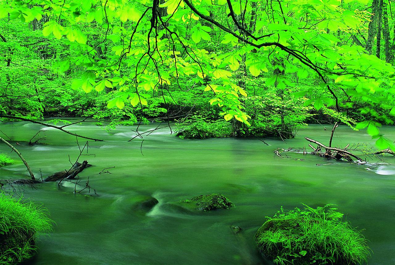 Pittinn Goshogawara ภายนอก รูปภาพ