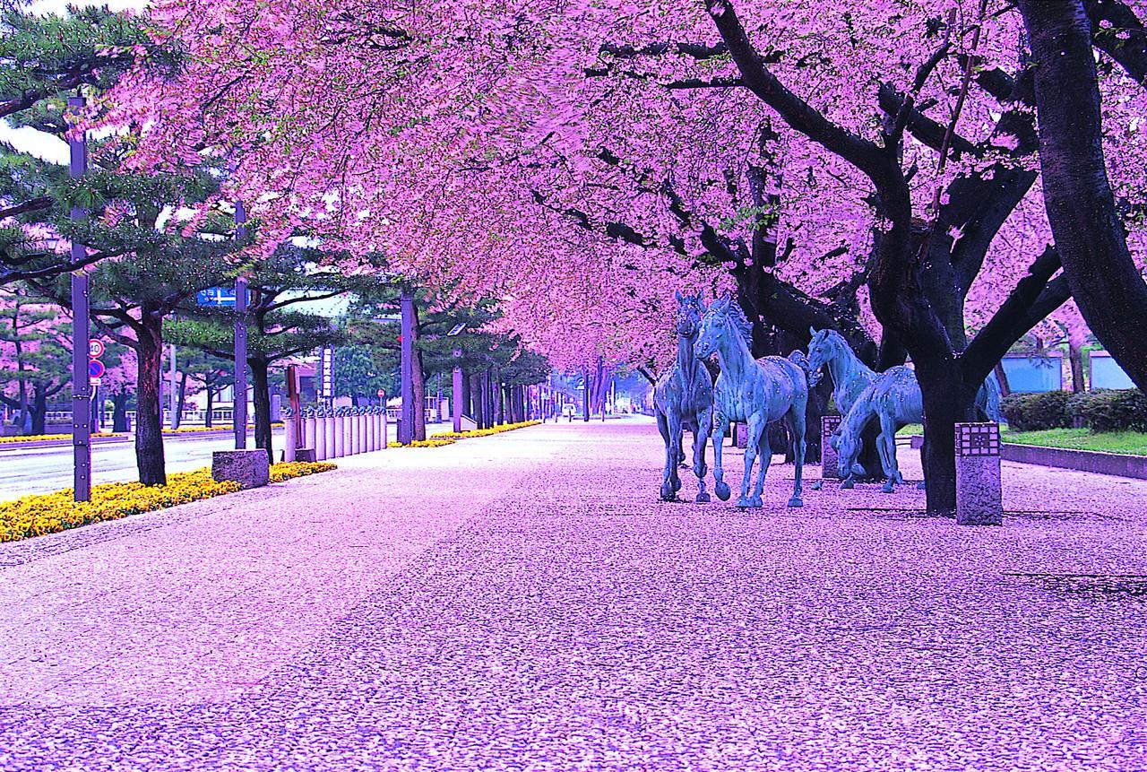 Pittinn Goshogawara ภายนอก รูปภาพ